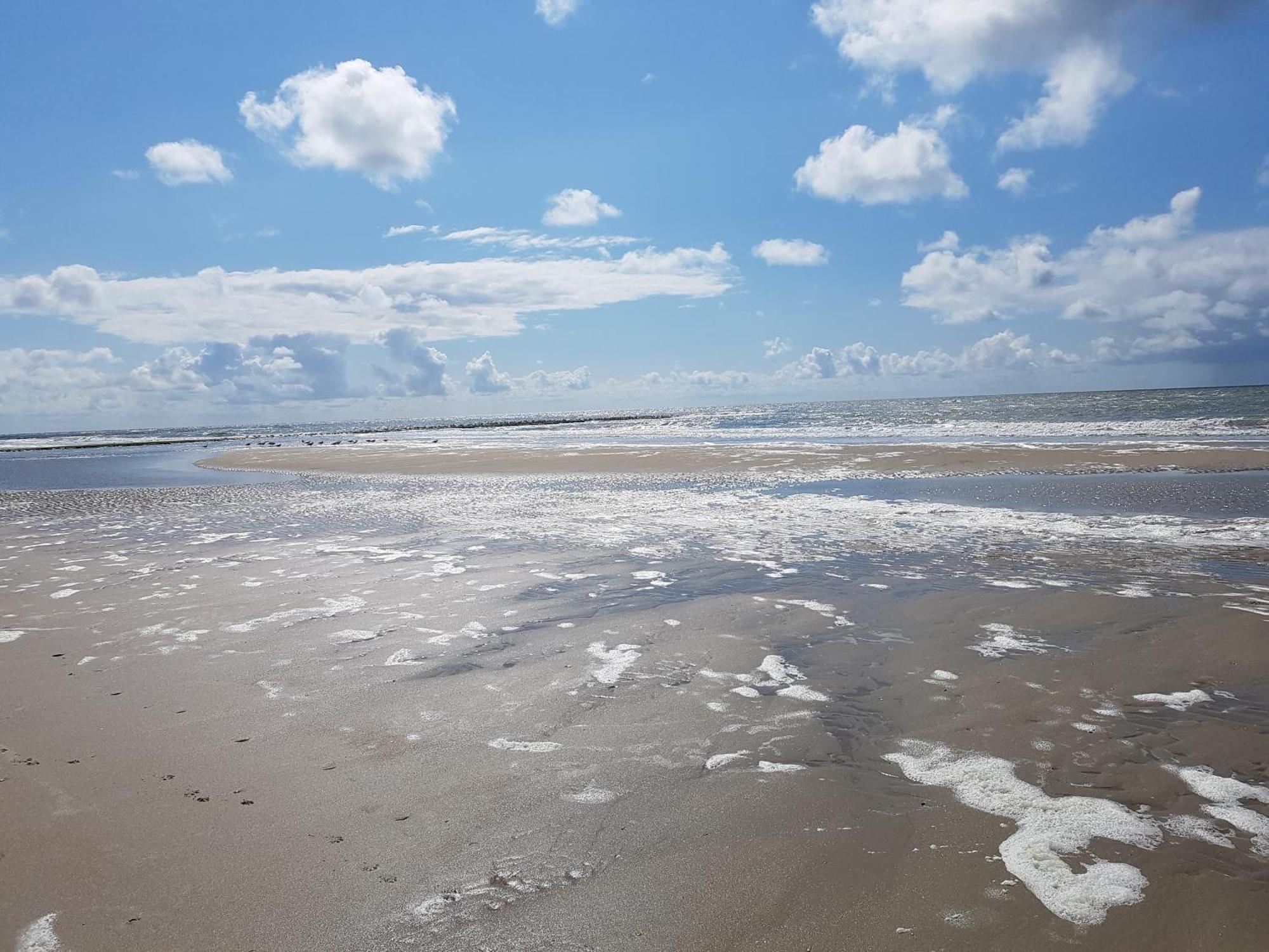 Romantisch Huisje Nabij Het Strand Met Uitzicht Op De Tulpenvelden Юлианадорп Экстерьер фото