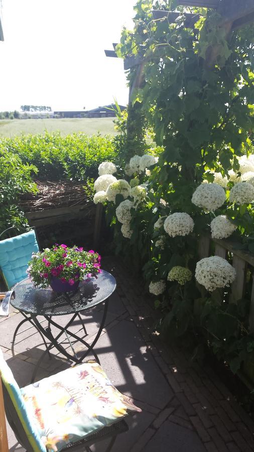 Romantisch Huisje Nabij Het Strand Met Uitzicht Op De Tulpenvelden Юлианадорп Экстерьер фото
