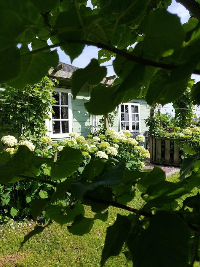 Romantisch Huisje Nabij Het Strand Met Uitzicht Op De Tulpenvelden Юлианадорп Экстерьер фото